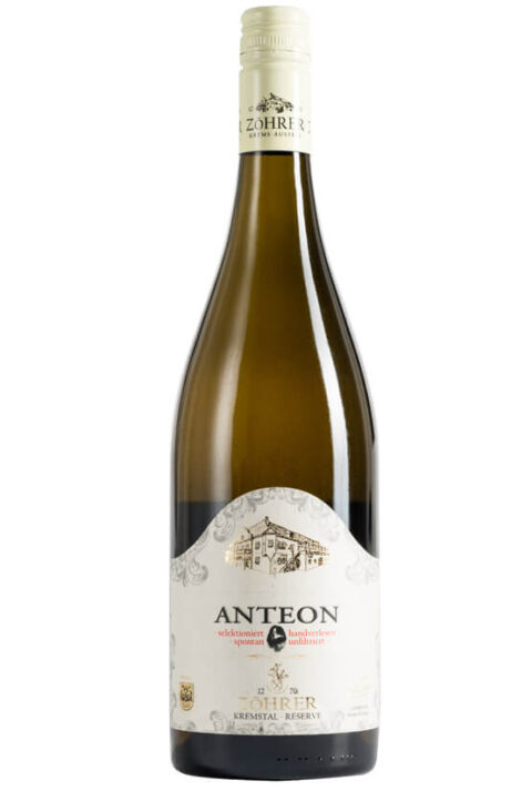 Weingut Zöhrer - Anteon