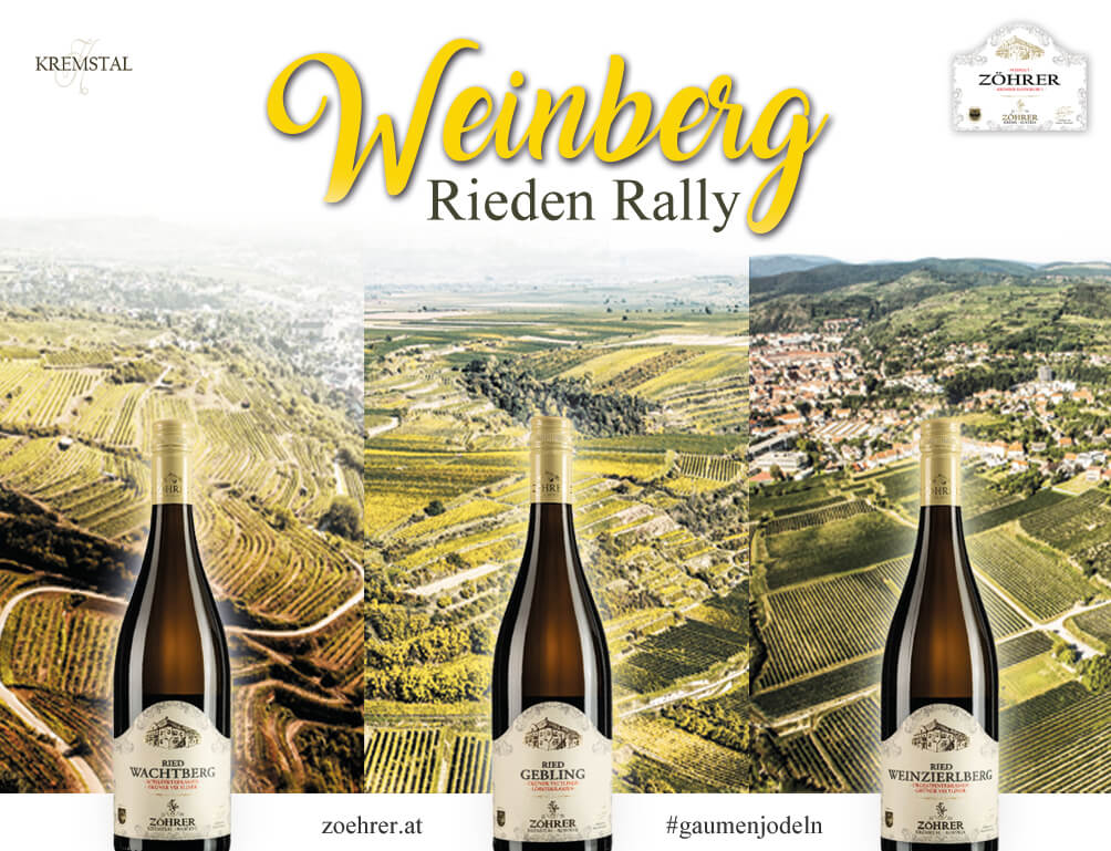 Riedenrally im Weingut Zöhrer Krems